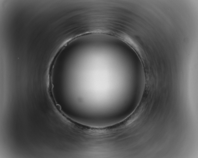 X0000090481095200707131311