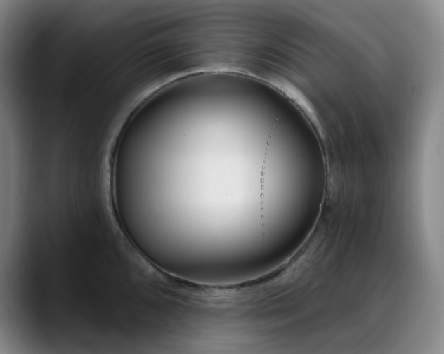 X0000090481096200707131311