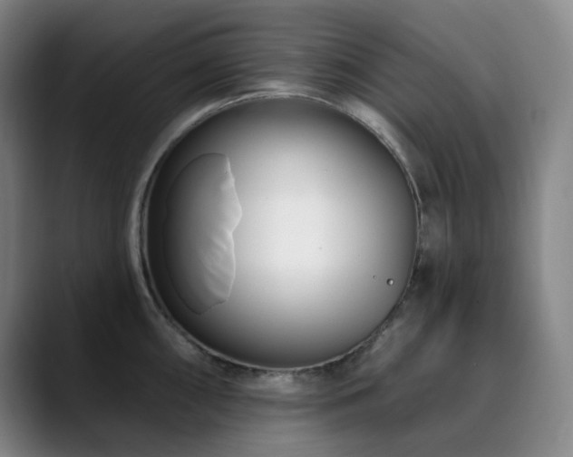 X0000090481098200707131311