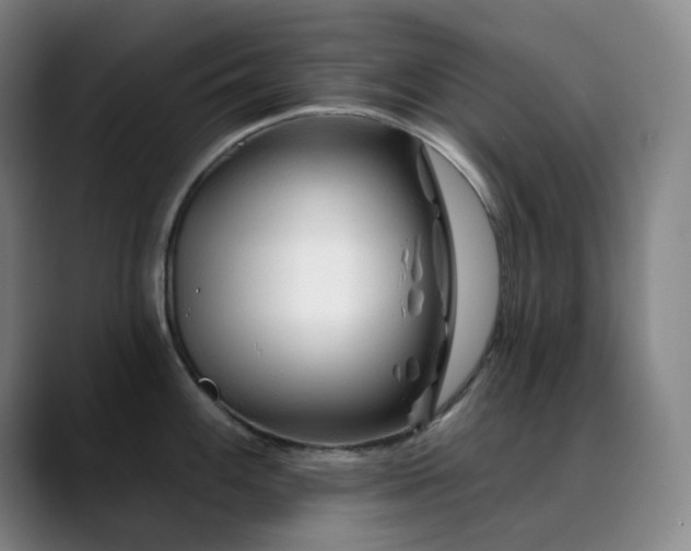 X0000090481100200707131311