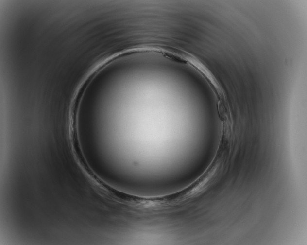 X0000090481101200707131311