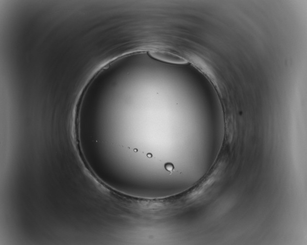 X0000090481103200707131311