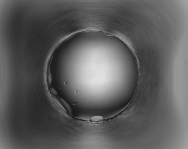 X0000090481104200707131311
