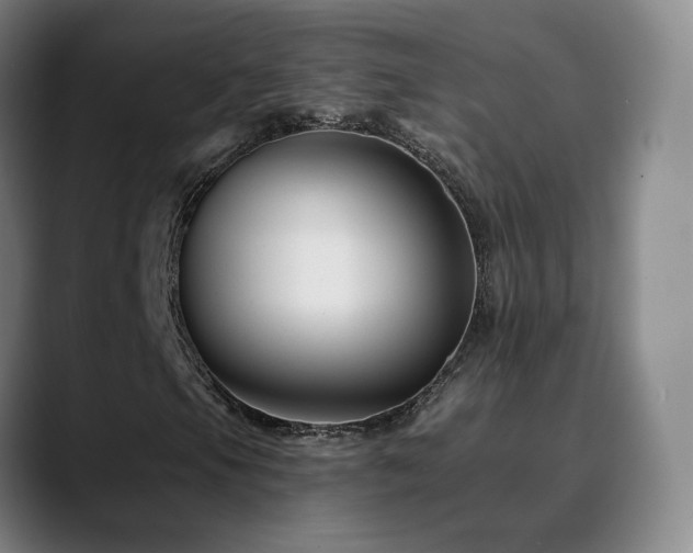 X0000090481105200707131311