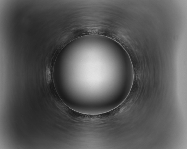 X0000090481106200707131311