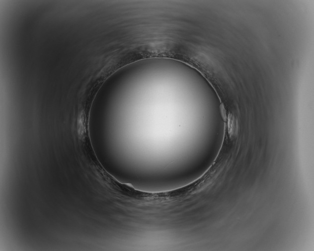 X0000090481107200707131311