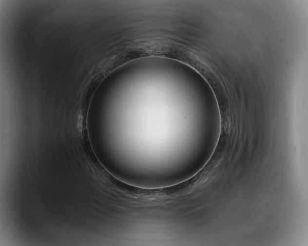 X0000090481108200707131311