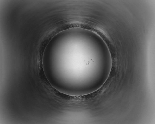 X0000090481111200707131311