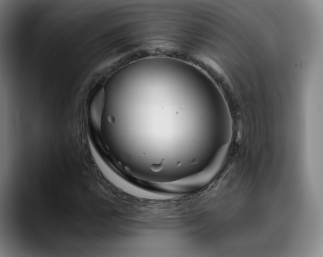 X0000090481112200707131311