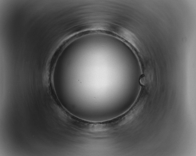 X0000090481116200707131311