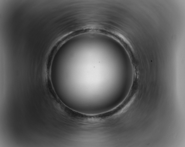 X0000090481117200707131311