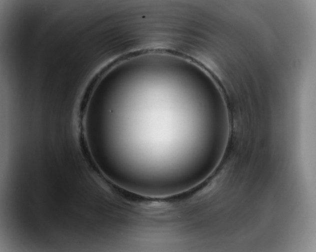 X0000090481119200707131311