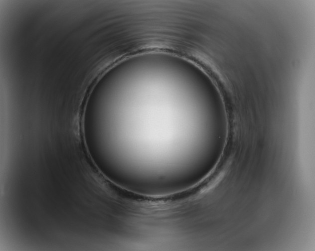 X0000090481121200707131311