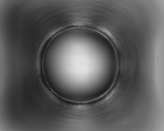 X0000090481122200707131311