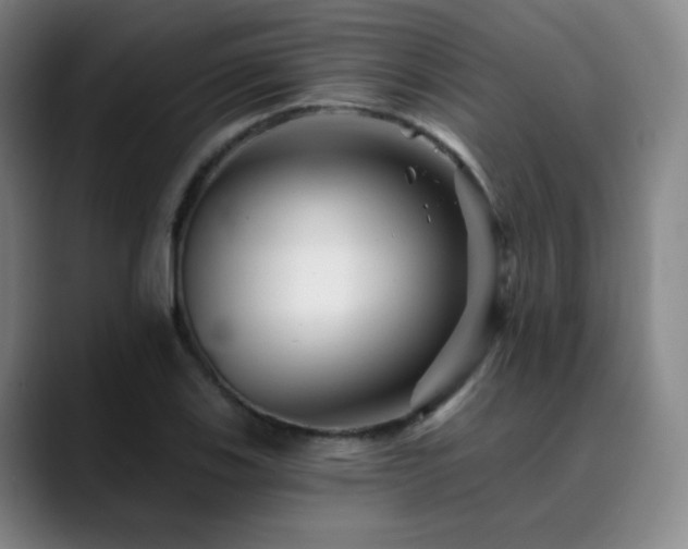 X0000090481123200707131311