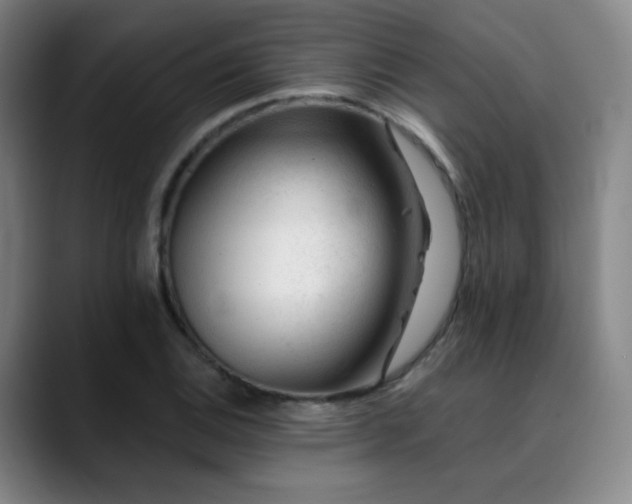 X0000090481124200707131311