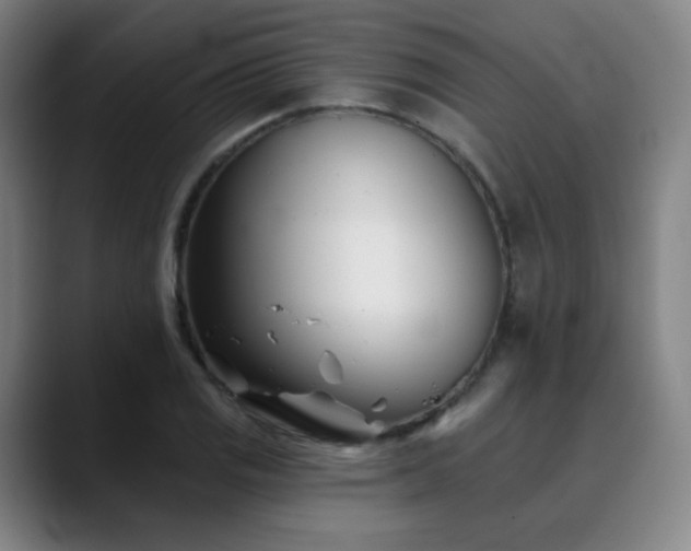 X0000090481125200707131311