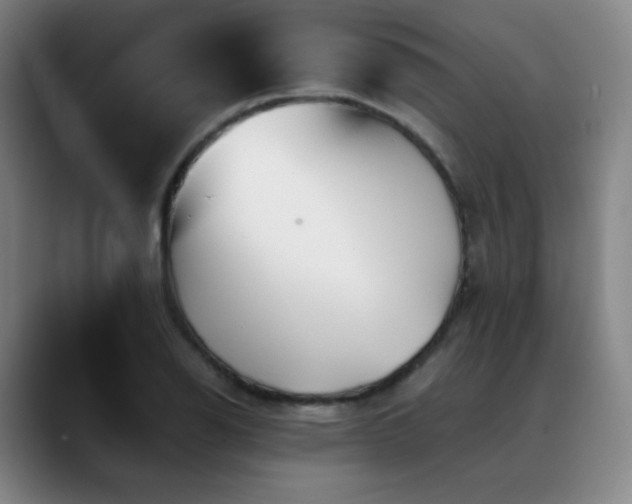 X0000090481126200707131311