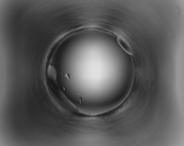 X0000090481127200707131311