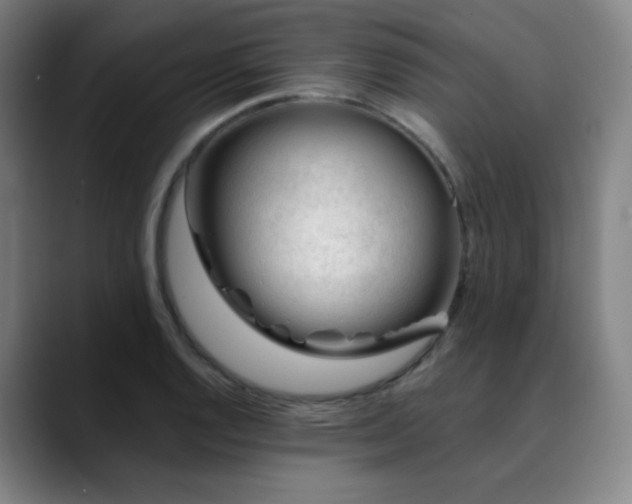 X0000090481128200707131311