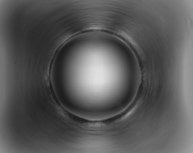 X0000090481129200707131311