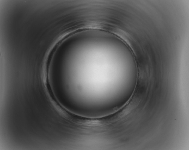 X0000090481131200707131311