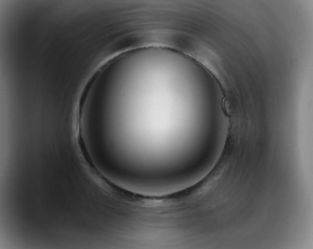 X0000090481132200707131311