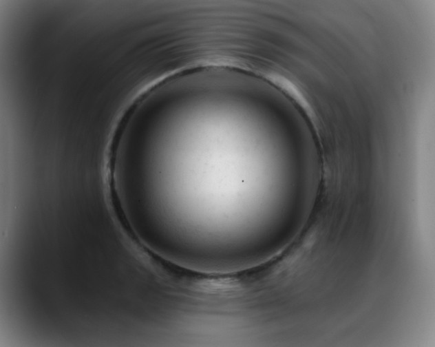 X0000090481133200707131311