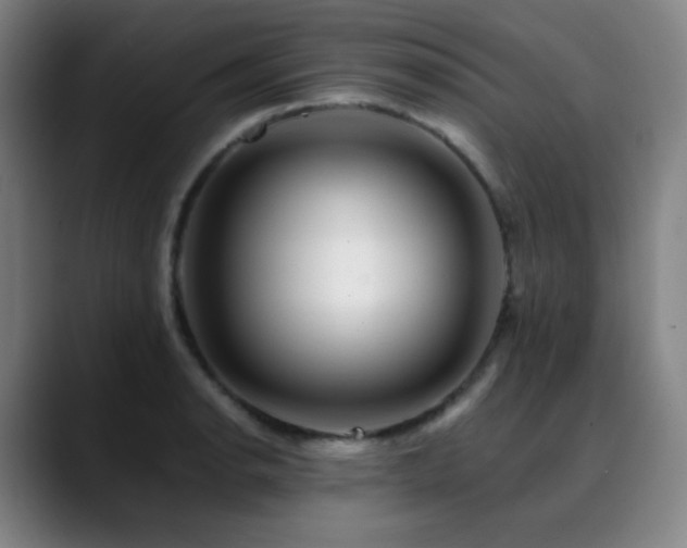 X0000090481134200707131311