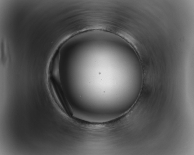 X0000090481135200707131311