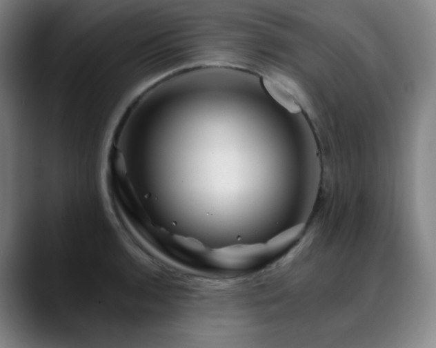 X0000090481136200707131311