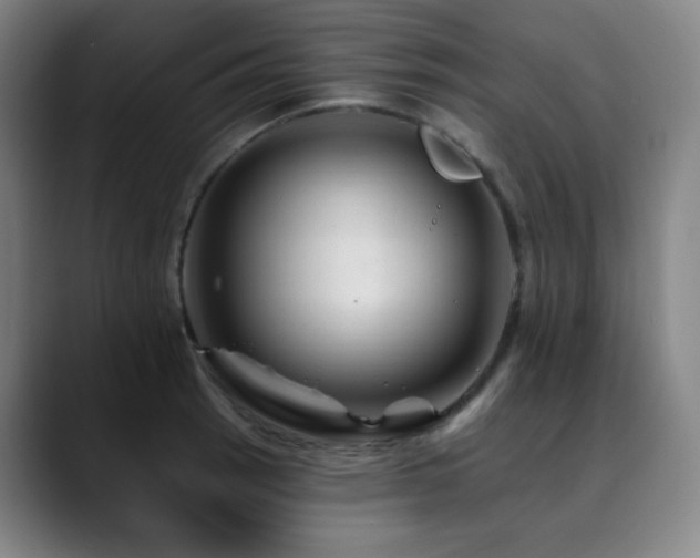 X0000090481137200707131311