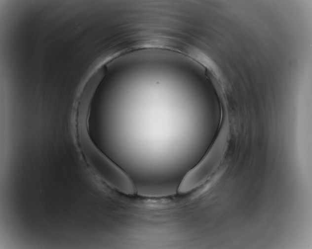 X0000090481138200707131311