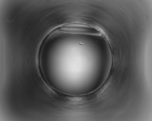 X0000090481141200707131311