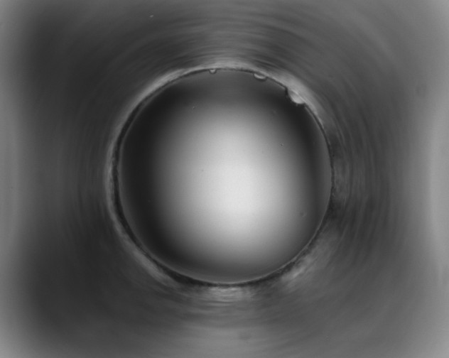 X0000090481142200707131311