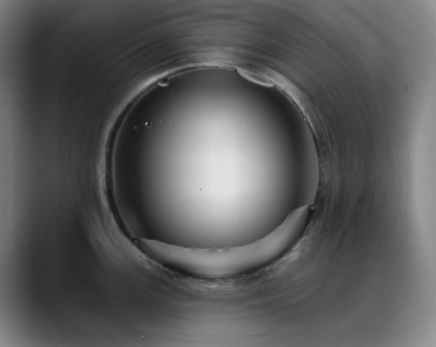 X0000090481147200707131311