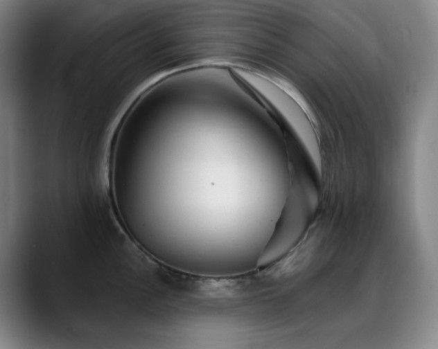 X0000090481148200707131311