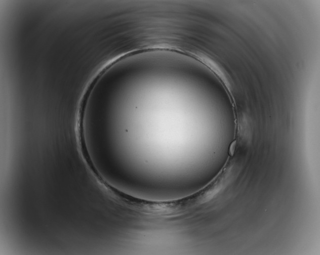 X0000090481149200707131311