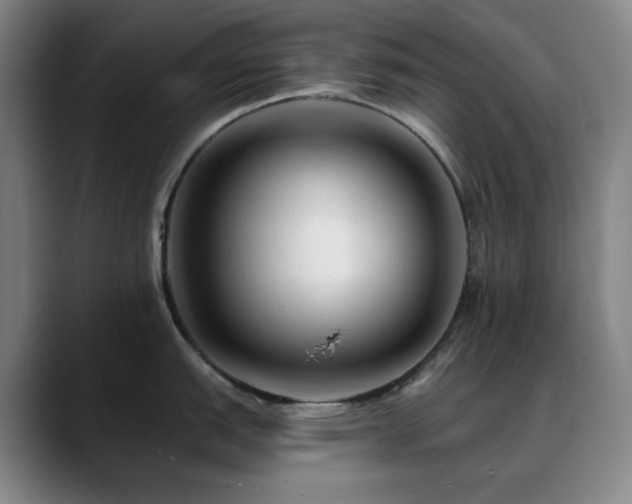 X0000090481151200707131311