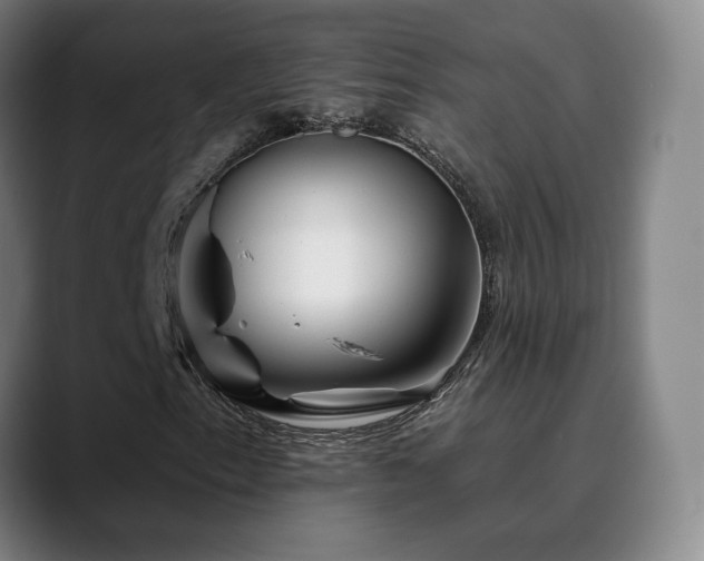 X0000090481153200707131311
