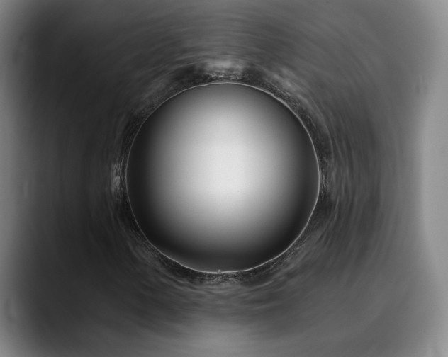 X0000090481154200707131311