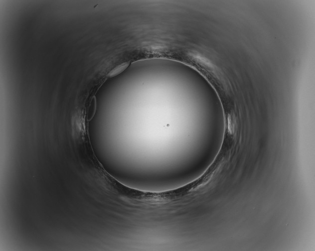 X0000090481155200707131311