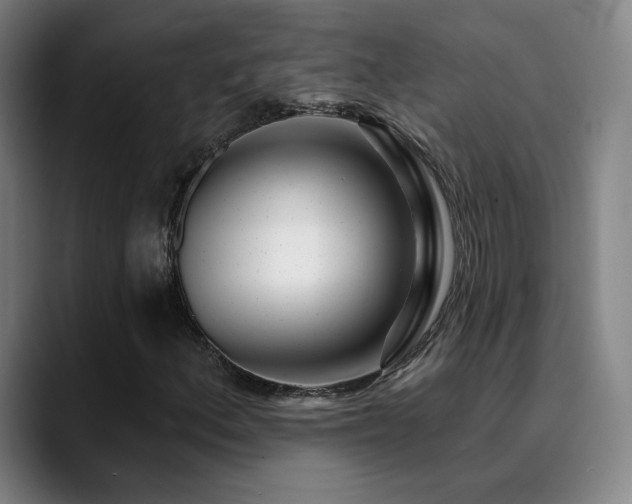 X0000090481156200707131311