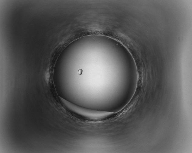 X0000090481157200707131311
