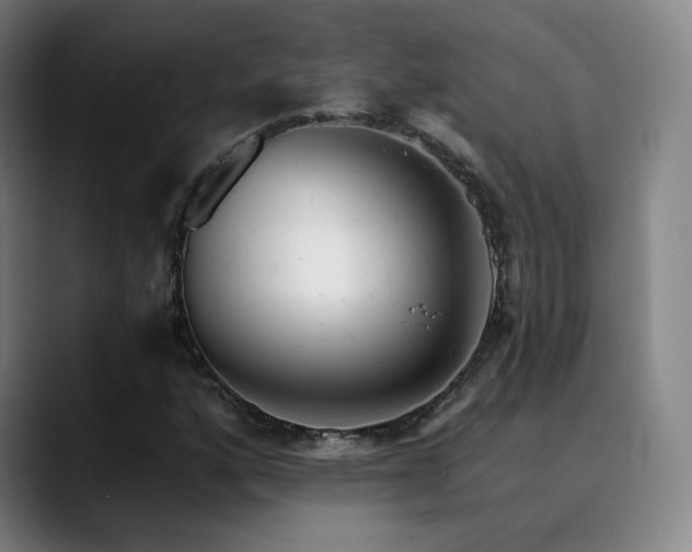 X0000090481160200707131311