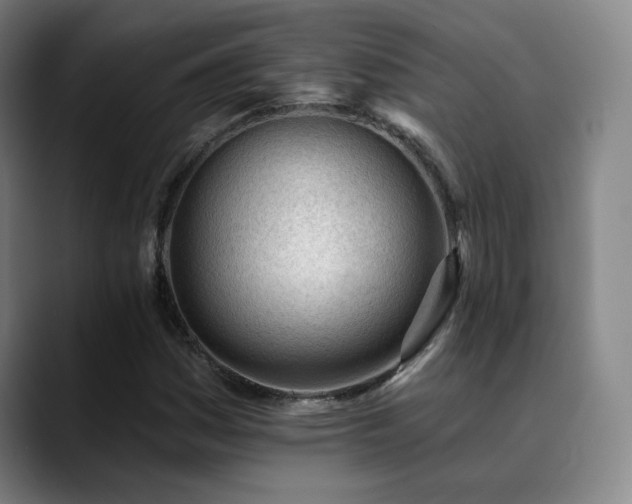 X0000090481161200707131311