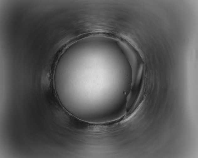 X0000090481163200707131311