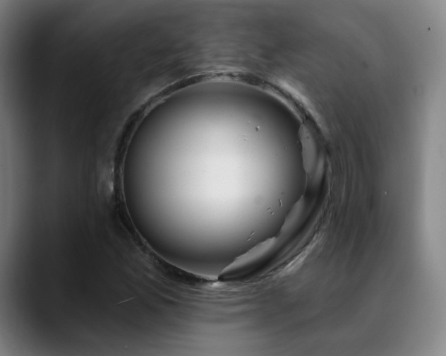X0000090481165200707131311
