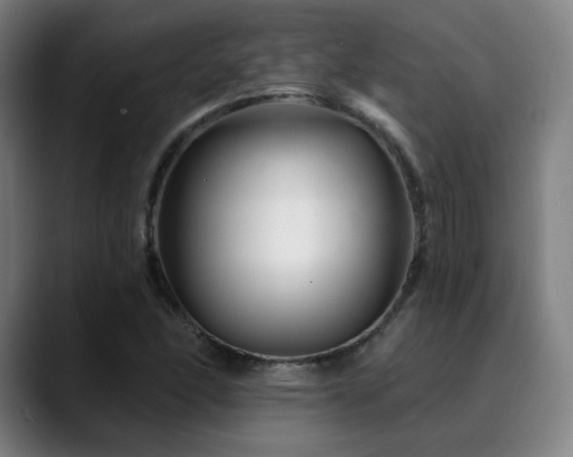 X0000090481166200707131311