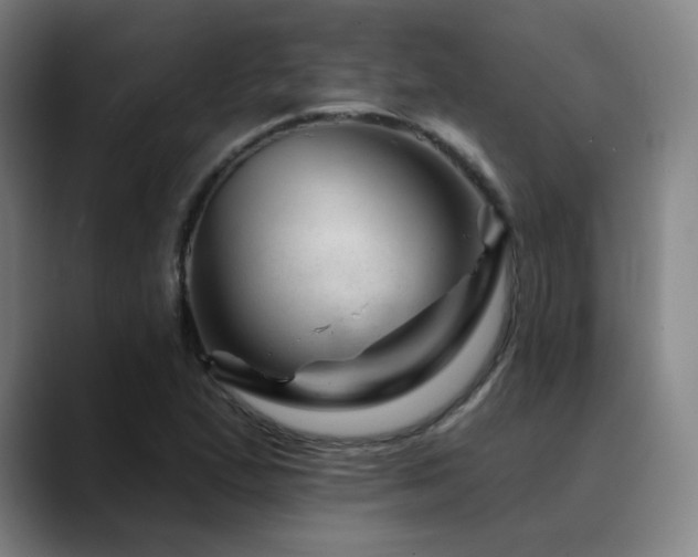 X0000090481167200707131311